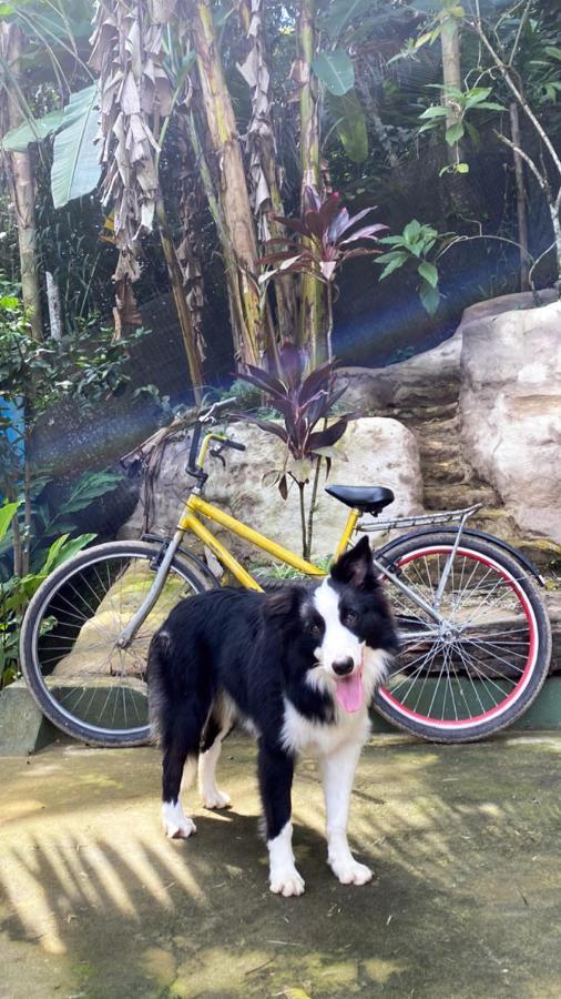Sintonia Surf Hostel E Bar อูบาตูบา ภายนอก รูปภาพ